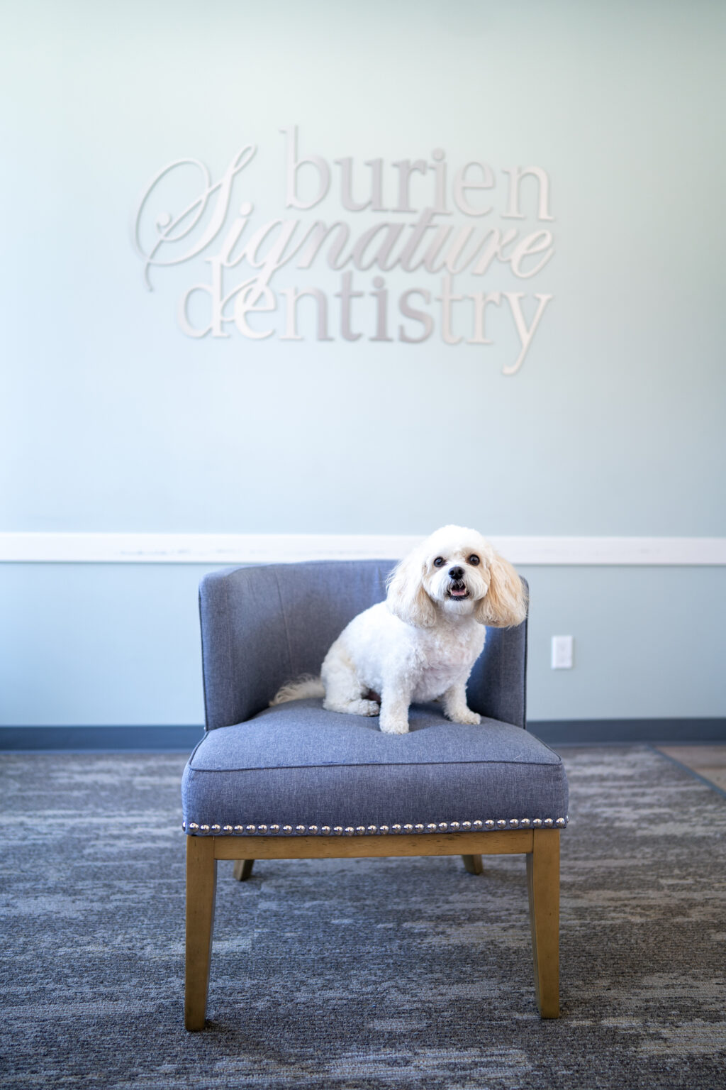 Dogtor Toshi