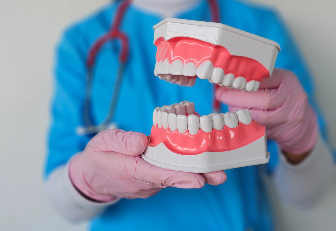Dentist demonstrating dental models in clinic concept